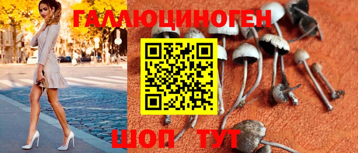 Ейск  закладки  Вход с VPN  Галлюциногенные грибы GOLDEN TEACHER 