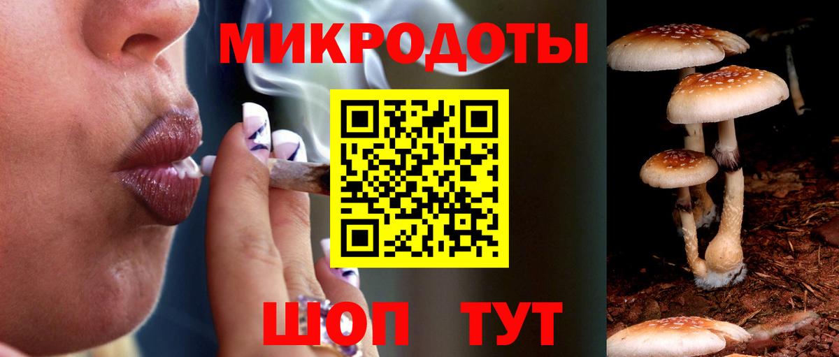 Псилоцибиновые грибы мухоморы Ейск